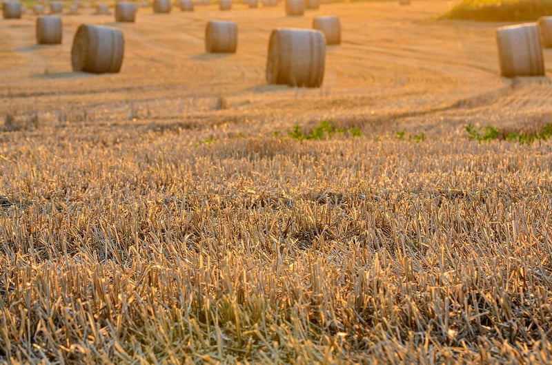 Collective Harvest Zones